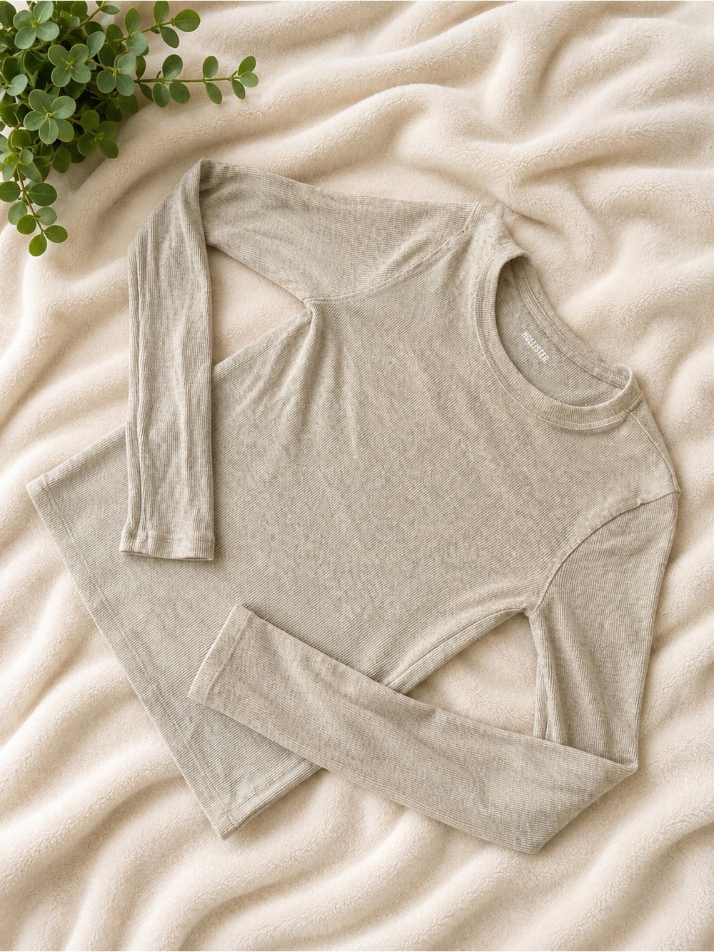Hollister Neutral Beige Long Sleeve Crewneck Top